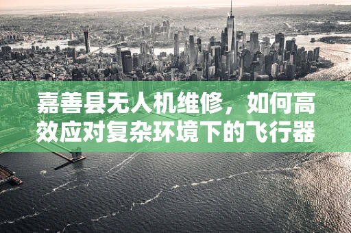 嘉善县无人机维修，如何高效应对复杂环境下的飞行器故障？