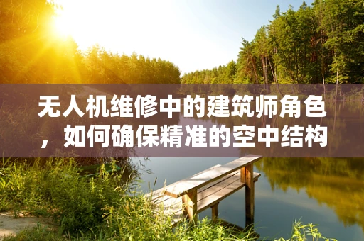 无人机维修中的建筑师角色，如何确保精准的空中结构维护？