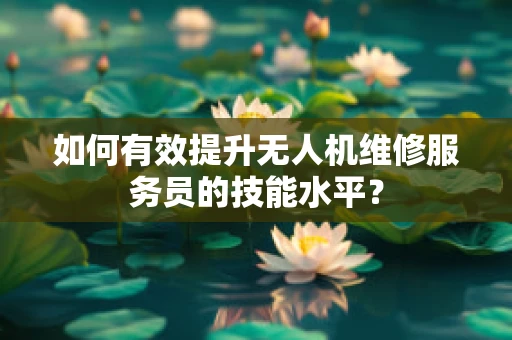 如何有效提升无人机维修服务员的技能水平？