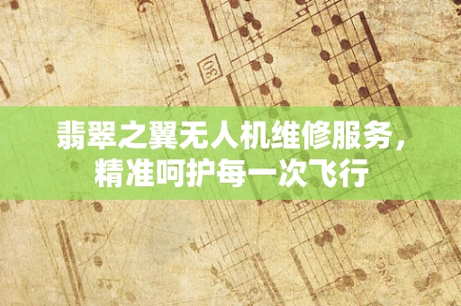 翡翠之翼无人机维修服务，精准呵护每一次飞行