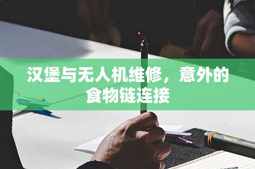 汉堡与无人机维修，意外的食物链连接