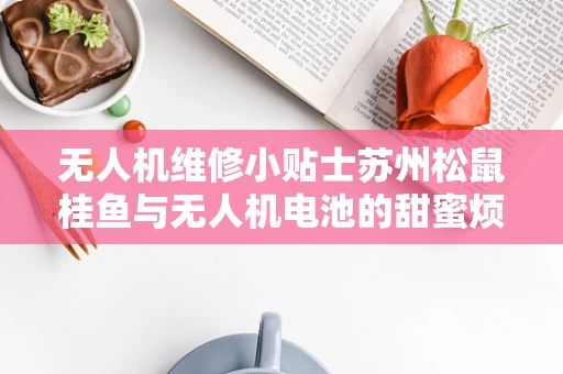 无人机维修小贴士苏州松鼠桂鱼与无人机电池的甜蜜烦恼