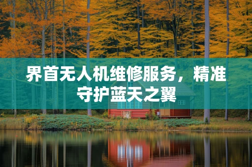 界首无人机维修服务，精准守护蓝天之翼