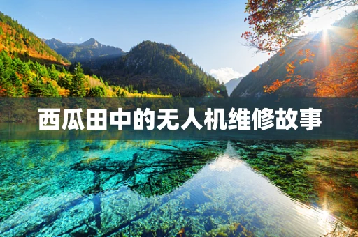 西瓜田中的无人机维修故事