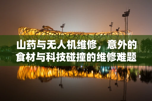 山药与无人机维修，意外的食材与科技碰撞的维修难题？