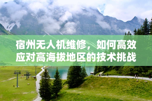 宿州无人机维修，如何高效应对高海拔地区的技术挑战？