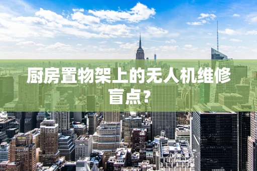 厨房置物架上的无人机维修盲点？