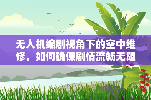 无人机编剧视角下的空中维修，如何确保剧情流畅无阻？