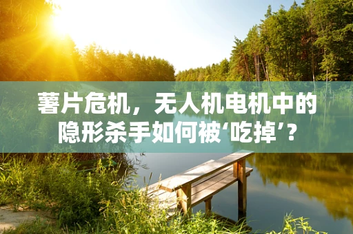 薯片危机，无人机电机中的隐形杀手如何被‘吃掉’？
