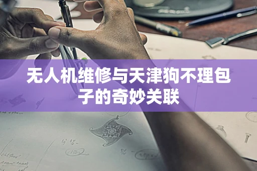 无人机维修与天津狗不理包子的奇妙关联
