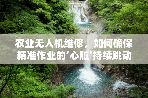 农业无人机维修，如何确保精准作业的‘心脏’持续跳动？