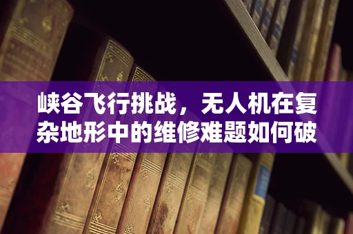 峡谷飞行挑战，无人机在复杂地形中的维修难题如何破解？