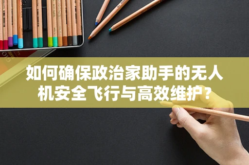 如何确保政治家助手的无人机安全飞行与高效维护？