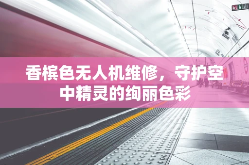 香槟色无人机维修，守护空中精灵的绚丽色彩