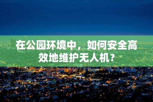 在公园环境中，如何安全高效地维护无人机？