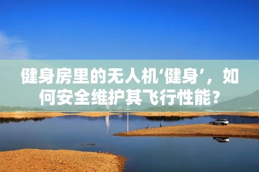 健身房里的无人机‘健身’，如何安全维护其飞行性能？