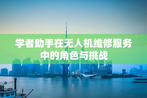 学者助手在无人机维修服务中的角色与挑战