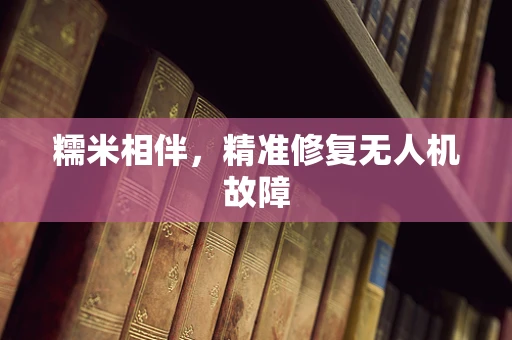 糯米相伴，精准修复无人机故障