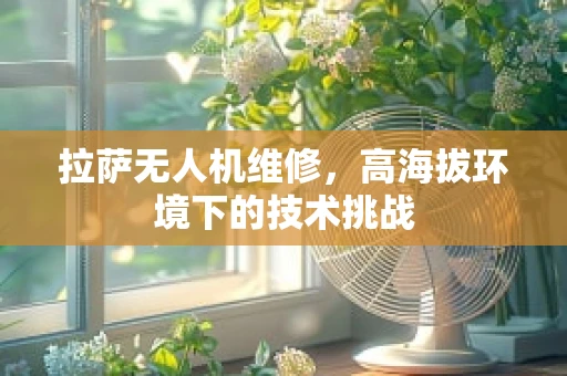 拉萨无人机维修，高海拔环境下的技术挑战