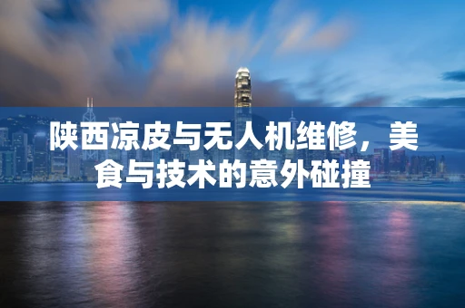 陕西凉皮与无人机维修，美食与技术的意外碰撞