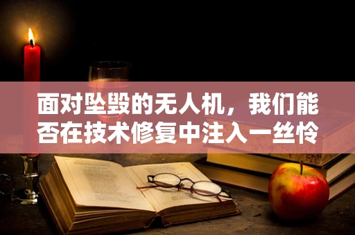 面对坠毁的无人机，我们能否在技术修复中注入一丝怜悯？