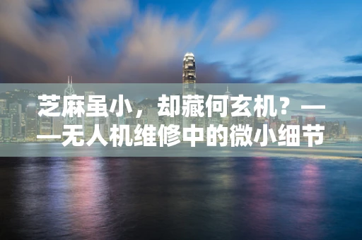 芝麻虽小，却藏何玄机？——无人机维修中的微小细节关注