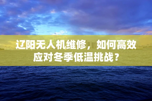 辽阳无人机维修，如何高效应对冬季低温挑战？