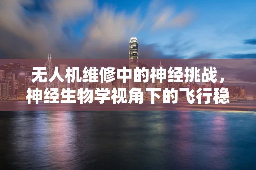 无人机维修中的神经挑战，神经生物学视角下的飞行稳定性优化
