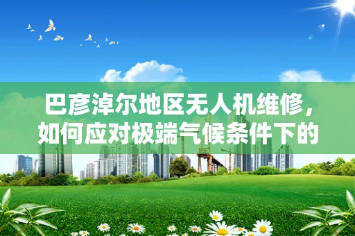 巴彦淖尔地区无人机维修，如何应对极端气候条件下的挑战？