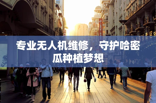 专业无人机维修，守护哈密瓜种植梦想
