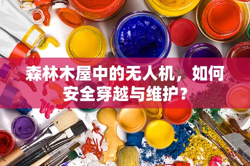 森林木屋中的无人机，如何安全穿越与维护？