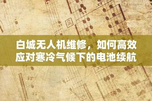 白城无人机维修，如何高效应对寒冷气候下的电池续航挑战？