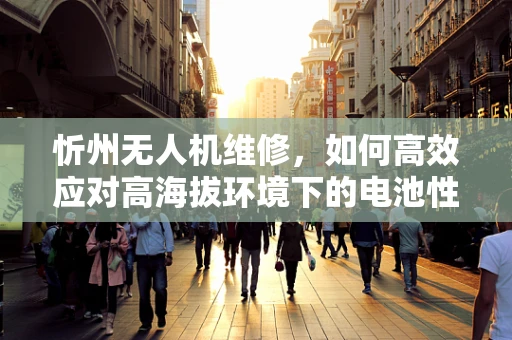 忻州无人机维修，如何高效应对高海拔环境下的电池性能挑战？