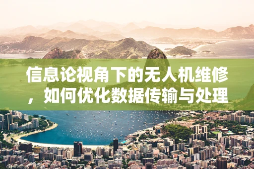 信息论视角下的无人机维修，如何优化数据传输与处理？