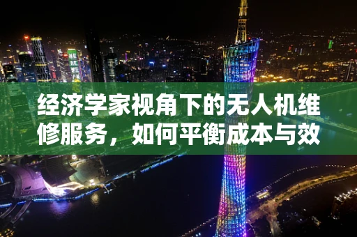 经济学家视角下的无人机维修服务，如何平衡成本与效率？