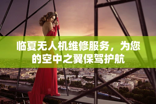 临夏无人机维修服务，为您的空中之翼保驾护航