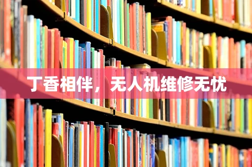 丁香相伴，无人机维修无忧