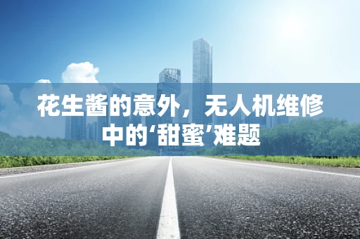花生酱的意外，无人机维修中的‘甜蜜’难题