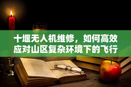 十堰无人机维修，如何高效应对山区复杂环境下的飞行故障？
