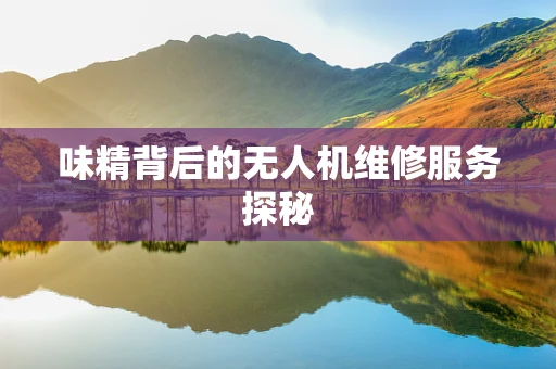 味精背后的无人机维修服务探秘