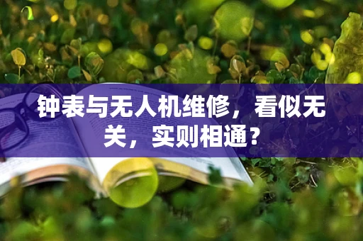 钟表与无人机维修，看似无关，实则相通？