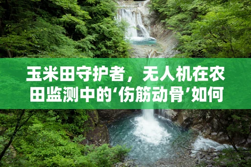 玉米田守护者，无人机在农田监测中的‘伤筋动骨’如何修复？
