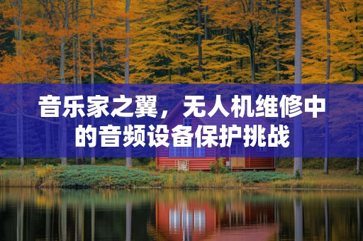 音乐家之翼，无人机维修中的音频设备保护挑战
