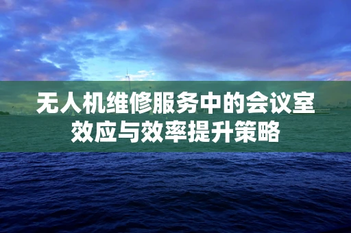无人机维修服务中的会议室效应与效率提升策略