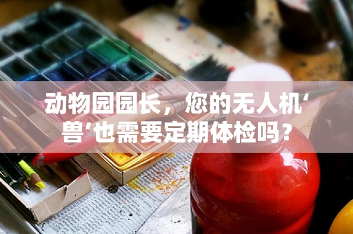 动物园园长，您的无人机‘兽’也需要定期体检吗？