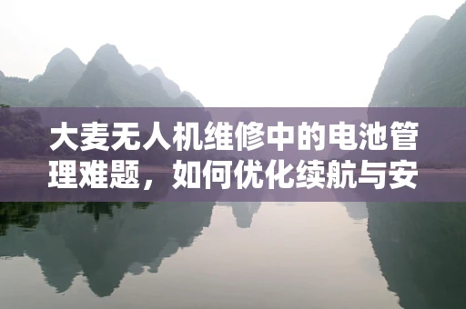 大麦无人机维修中的电池管理难题，如何优化续航与安全？