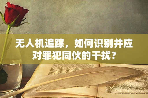 无人机追踪，如何识别并应对罪犯同伙的干扰？