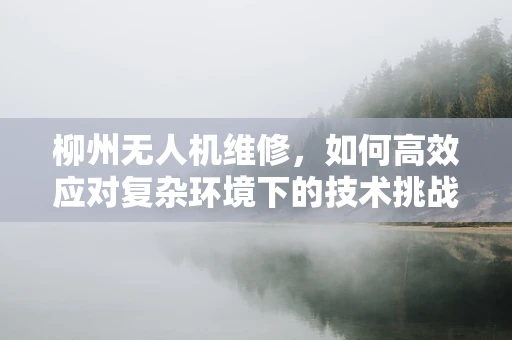 柳州无人机维修，如何高效应对复杂环境下的技术挑战？