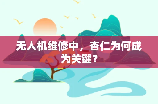 无人机维修中，杏仁为何成为关键？