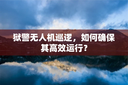 狱警无人机巡逻，如何确保其高效运行？